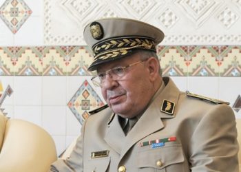 رئيس أركان الجيش الجزائري أحمد قايد صالح