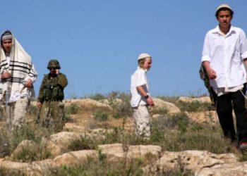 مستوطنون يعتدون على ممتلكات فلسطينيين جنوب نابلس