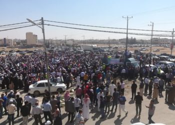 فعاليات حاشدة للمعلمين في الطفيلة والمفرق (فيديو)