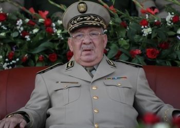 قائد الأركان الجزائري: انتخابات الرئاسة سترسي الديمقراطية الحقيقية