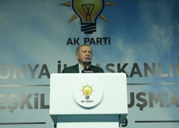 أردوغان: المستجدات في سوريا وشرق المتوسط مصيرية لتركيا