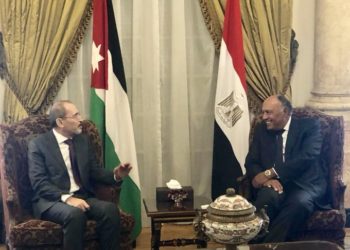 وزير الخارجية يجري مباحثات مع نظيره المصري