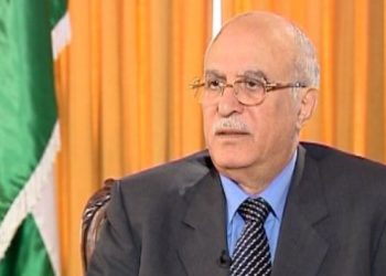 وزير أسبق: الحكومة دفعت نقابة المعلمين لإدارة ظهرها للحائط