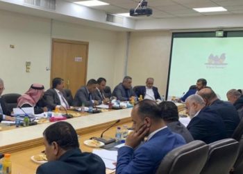 المصري: توجه لهيكلة الوزارات لتنسجم مع “اللامركزية”