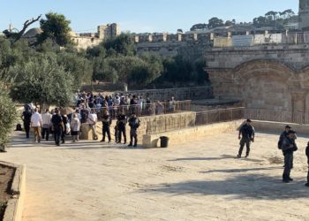 “الخارجية” تدين تسهيل الاحتلال لاقتحامات المسجد الأقصى