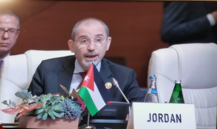 الصفدي قمة عدم الانحياز