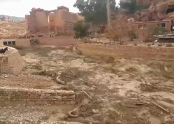 سيول البترا