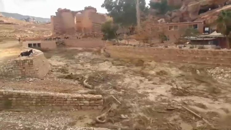 سيول البترا