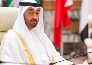 محمد بن زايد