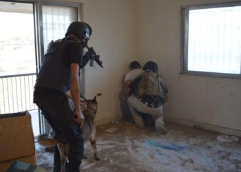 القبض على مطلوب مصنف خطير في البادية الشمالية