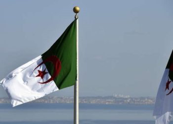 الجزائر