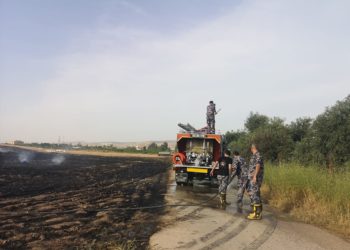 حريق أعشاب جافة