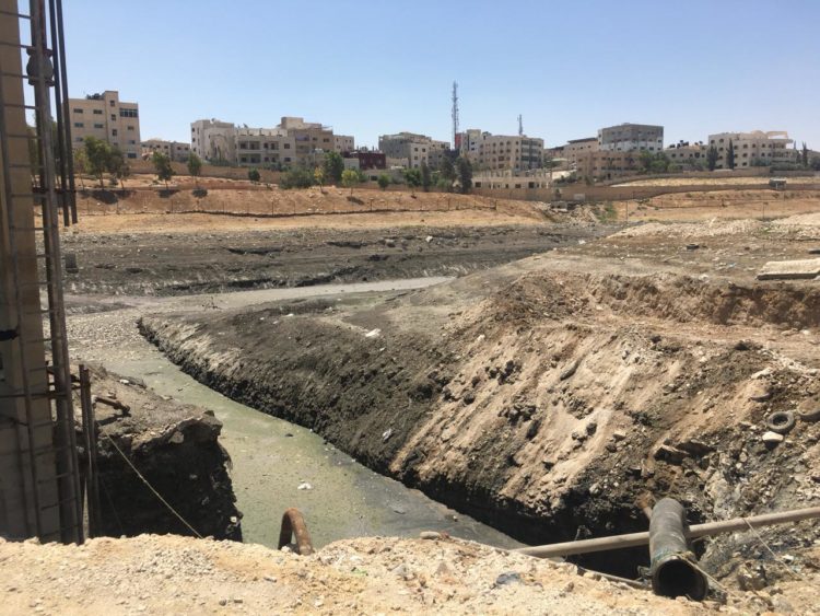 بركة البيبسي