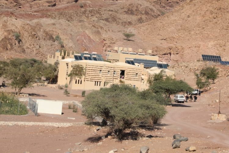 واحة فينان