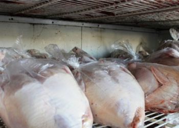 بيان من “حماية المستهلك” حول استيراد الدجاج