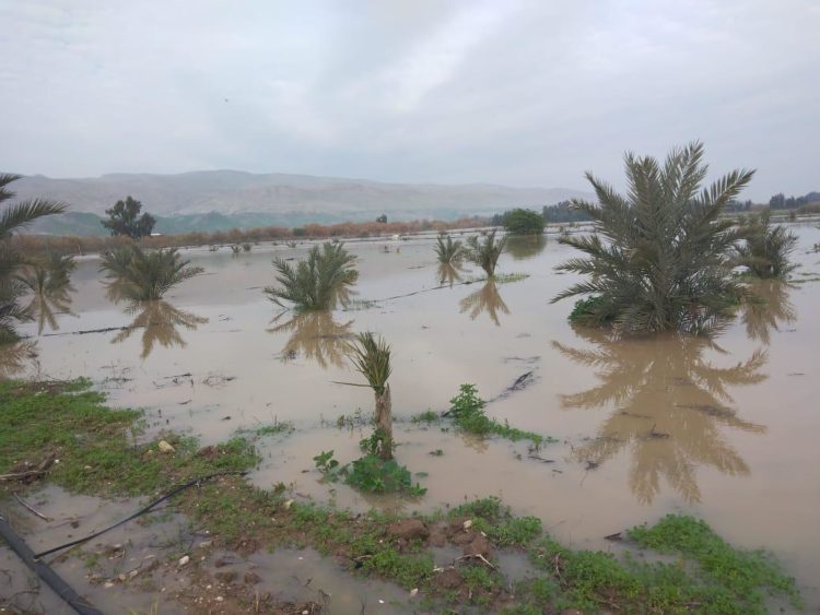 الموسم المطري