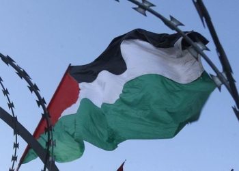 بالفيديو.. تفاصيل تنشر لأول مرة عن عملاء للاحتلال بغزة