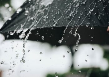 الطفيلة تسجل أعلى هطول منذ تسع سنوات