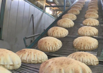 نقيب أصحاب المخابز: أناشد الحكومة فتح جميع المخابز لتغطية احتياجات الأردنيين