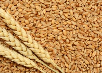 تركيا تقدم مساعدت طبية لإيران