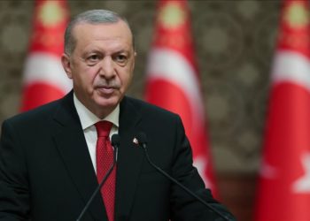 أردوغان: تدخل مصر في ليبيا غير شرعي وموقف الإمارات قرصنة