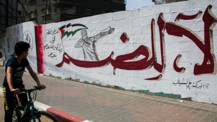 لا للضم