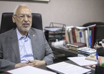 الغنوشي: هناك دول عربية تقلقها الحرية والديمقراطية في تونس