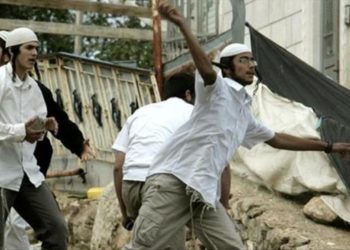 مستوطنون يهاجمون منازل المواطنين وسط الخليل