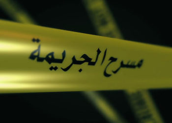 محادين: جريمتا الزرقاء والكرك تضعنا بمواجهة “مهدد اجتماعي” خطير