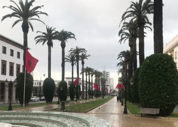 المغرب يشرع في إنجاز أكبر محطة لتحلية مياه البحر في إفريقيا