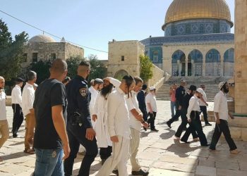 89 مستوطنًا يقتحمون المسجد الأقصى