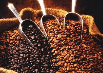 بدلاً من البهارات .. استعمالات مبتكرة لحبوب القهوة مع الحساء واللحوم المشوية والسلطات