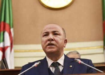 من هو أيمن بن عبد الرحمن.. الوزير الأول في الجزائر