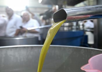 الحكومة ستدعم صادرات زيت الزيتون “الفائض” من العام الماضي بمليون دينار