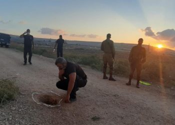 6 أسرى ينجحون بالهرب من سجن جلبوع بواسطة نفق