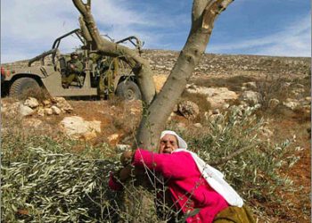 أعداد الفلسطينيين حول العالم مع نهاية 2021 (إنفوجرافيك)