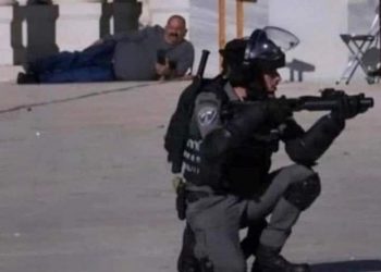 صورة “مش متزحزح قاعد فيها” في الأقصى تشعل مواقع التواصل