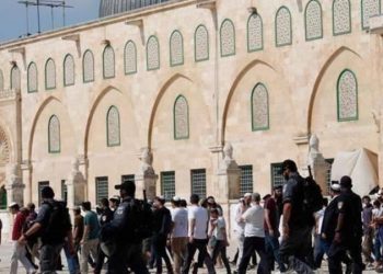 مذكرة لـ76 نائبًا: بيانات الشجب ليست خيارا لمواجهة التدنيس السافر للقدس