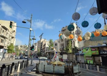 أجواء ربيعية مائلة للبرودة