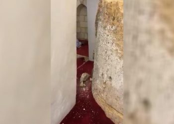 سقوط الحجارة من أعمدة الأقصى.. خطر يُداهم أساساته ويُنذر بهدمه