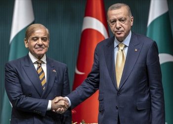 أردوغان وشريف يبحثان مستجدات كارثة السيول بباكستان