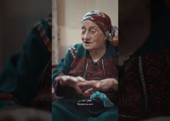“شدوا بعضكم”.. صوت من الأردن برائحة ياسمين نابلس (فيديو)