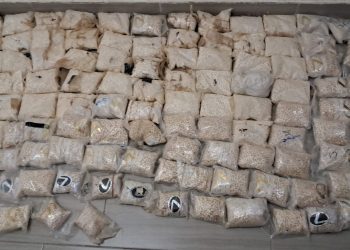 ضبط تاجر مخدرات مرتبط بعصابات دولية بحوزته كميات من الحشيش والحبوب