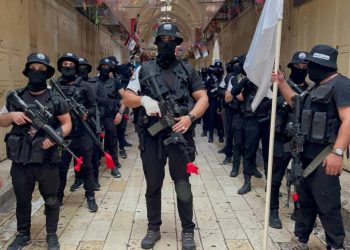 تعرف على مجموعات “عرين الأسود”