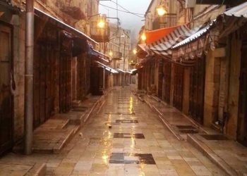 ماذا تعرف عن “شارع الخضر” في السلط؟