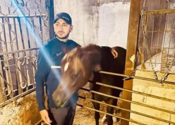 هذا آخر ما قاله الشهيد علقم قبل استشهاده