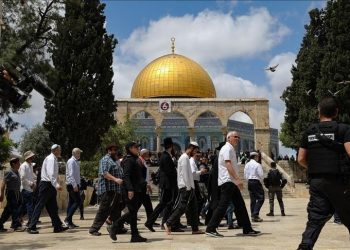 القدس.. هجمات تهويدية مستمرة خلال العام 2022 (إنفوجرافيك)