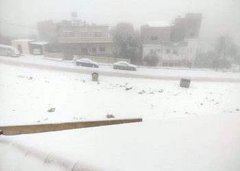 الطفيلة تكتسي حلة بيضاء