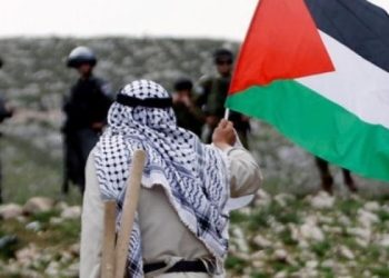 الواقع الديموغرافي الفلسطيني بعد 75 عاما على النكبة (فيديوغراف)