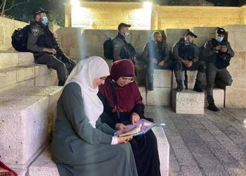 شاهد.. المرابطة الحلواني تعود للأقصى بعد عام من الابعاد وتفاعل على منصات التواصل